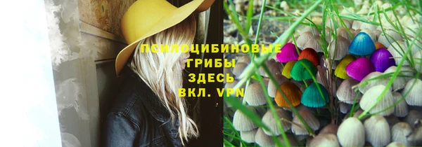 крисы Абинск