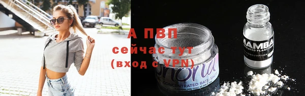 PSILOCYBIN Бердск