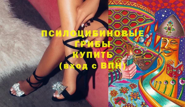 PSILOCYBIN Бердск