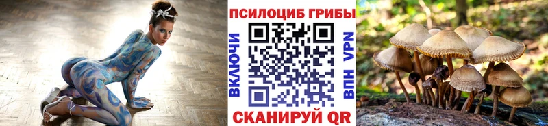 Псилоцибиновые грибы Cubensis  даркнет официальный сайт  Александровск 